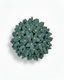 Hydrangea in Teal