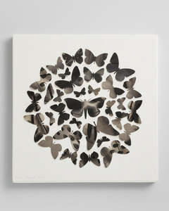 Anna Stichbury: Black Butterflies - Original Painting