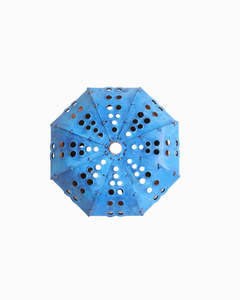 Daniel Wright: Blue Kina - Small