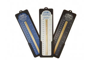 D.I.Y. Dad Ruler