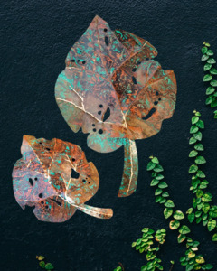 Kawakawa Leaves - Set of 2