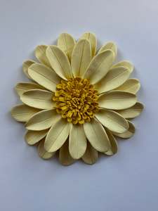Daisy in Yellow