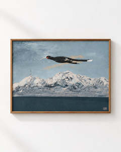 Soaring Huia