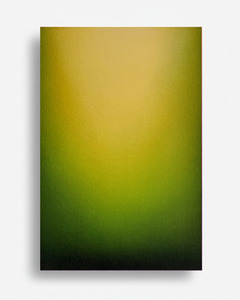 Paintings: Waikato Light
