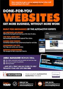 Capricorn Area Manager: Done for you Websites