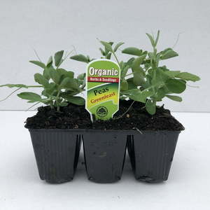 Products: Peas Greenfeast