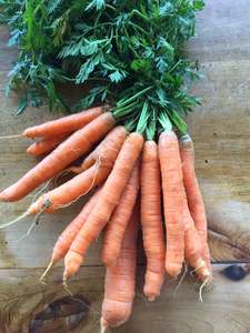 Vegetables: Carrots Bunch