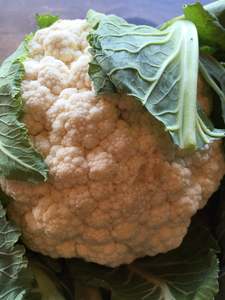 Cauliflower
