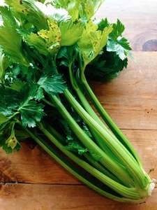 Vegetables: Celery Bunch