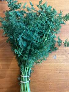 Dill