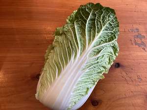 Chinese Cabbage