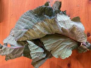 Products: Collard Greens - bunch