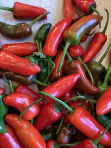 Products: Jalapeño Peppers