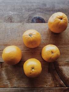 Fruit: Oranges ‘Navel'