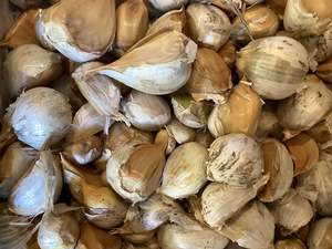 Vegetables: Elephant Garlic 100g