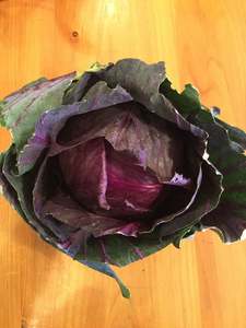 Cabbage, Red