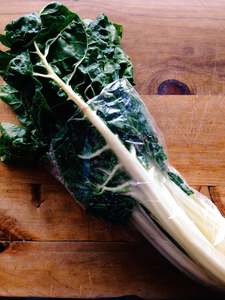 Silverbeet
