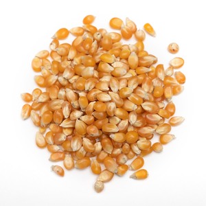 Chips Snacks: Organics Out West - Organic Popping Corn - [600g]
