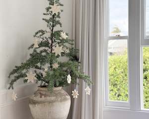 CHRISTMAS: Potted Douglas Fir Chrsimtas Tree