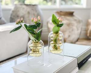 Glass: Lucie Lu Vase