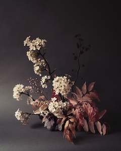 Art: Noir | Photographic Print | Danelle Bohane + Leaf & Honey