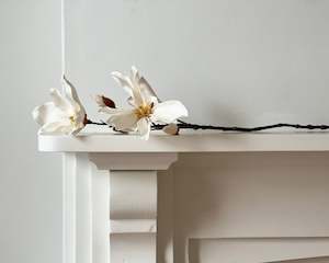 Pots Planters Garden: Japanese Magnolia Stem