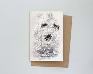 Books: Vintage Bumble Bees Card