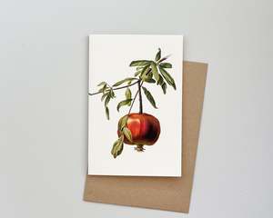 Books: Vintage Pomegranate Card