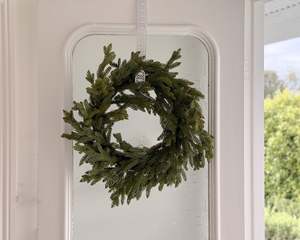 Norfolk Pine Wreath | 60cm