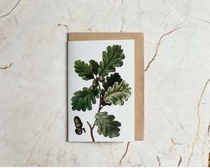 Acorns Card