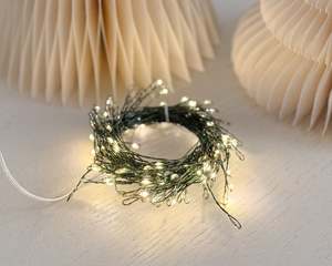 Festivity: Seed Lights | 6m