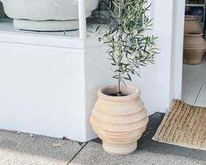 Cretan Urn