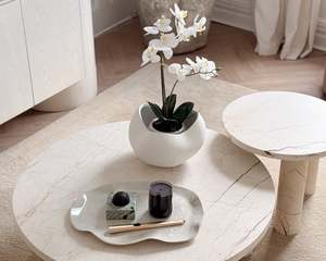 Homeobject: Double Phalaenopsis Orchid Potted Plant