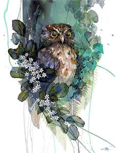 Small Boxed Frame Art Nz Artists: Morepork Putaputaweta small box frame