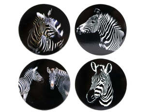 Coasters: Zebras Mane coaster set