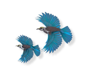 Frontpage: Tui Mini