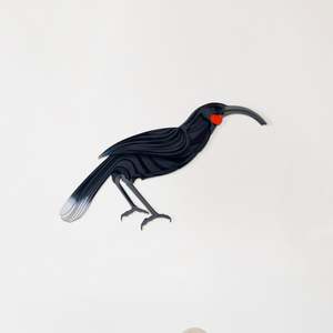 Frontpage: Huia Painted