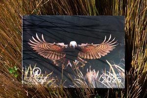 Products: Orokonui Calendar - Orokonui Ecosanctuary