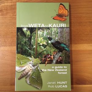 Products: From Weta To Kauri - Orokonui Ecosanctuary