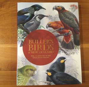 Products: Buller’s Birds of New Zealand - Orokonui Ecosanctuary