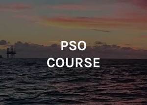 Products: PSO Course Wed 10th Dec 2025 (0.5 day)