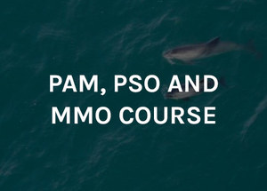 Products: PAM, PSO and MMO courses 2026