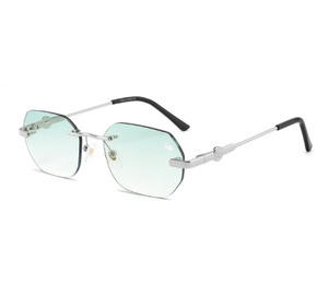 Belvoir Co: BV-Z (Belvoir & co sunglasses willow green/silver) 52592000