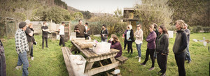 Products: Mushroom Cultivation Workshop - Dunedin MycoLogic