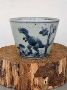 Studio Wani: Dinosaur Series Soba cups by Studio Wani