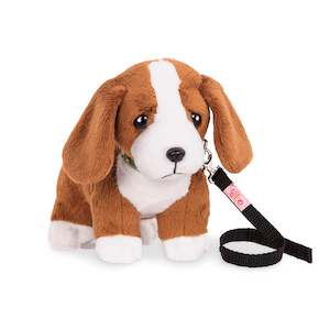 Clearance Sale: Basset Hound Pup