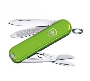 Victorinox Classic SD Pocket Knife | Smashed Avocado Green