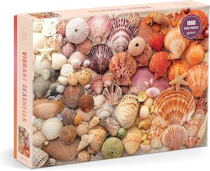 Living: Vibrant Seashells 1000 Piece Puzzle
