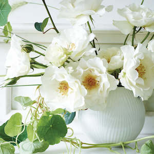 Vases: White Folia Rose Bowl 13cm