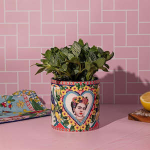 Garden Plates: Mexican Folklore Small - Planter Pot